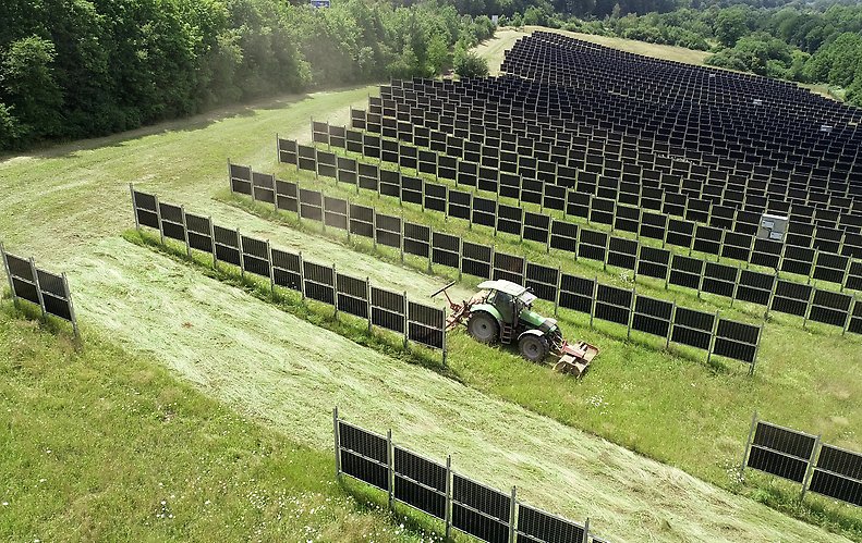 Nu byggs Sveriges första storskaliga agrivoltaiska solpark